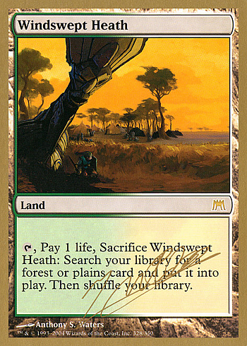 Windswept Heath