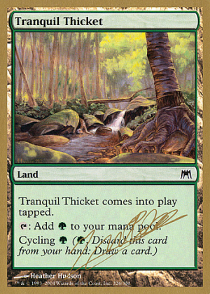 Tranquil Thicket