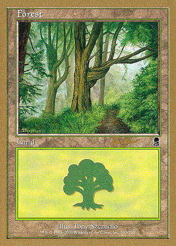 Forest