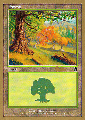 Forest