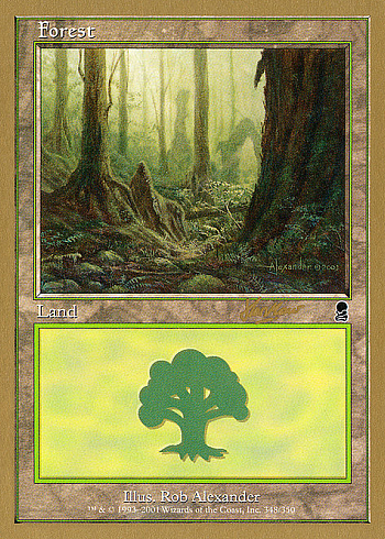 Forest