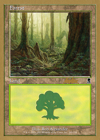 Forest