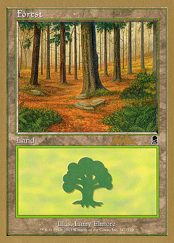Forest