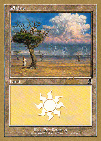 Plains