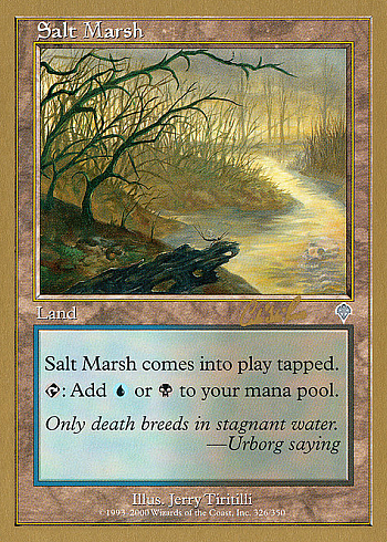 Salt Marsh