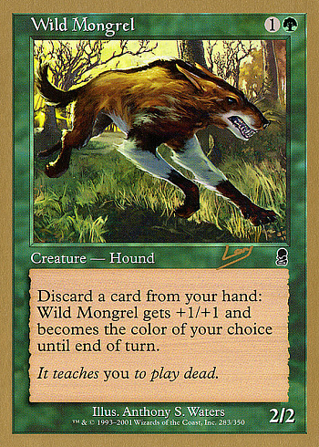 Wild Mongrel