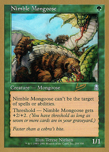 Nimble Mongoose
