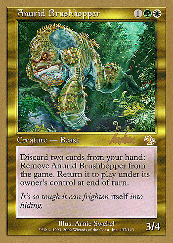 Anurid Brushhopper