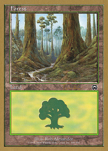 Forest