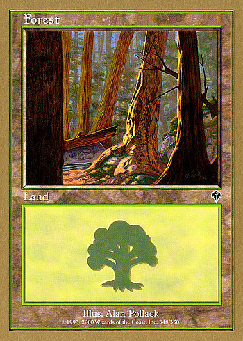 Forest