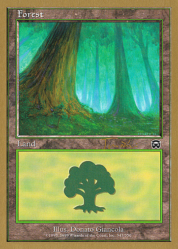 Forest