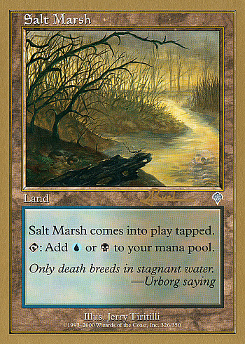 Salt Marsh