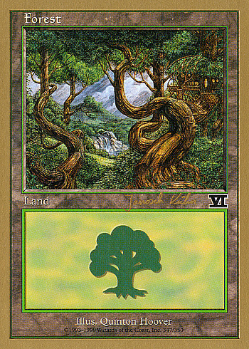 Forest