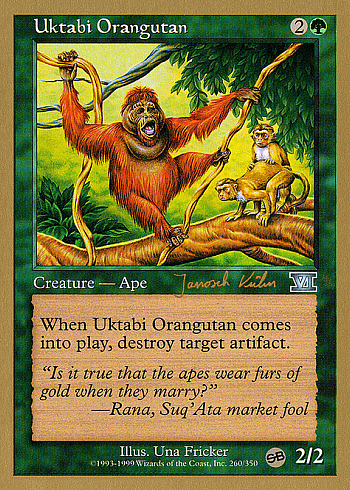 Uktabi Orangutan