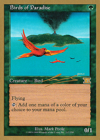 Birds of Paradise