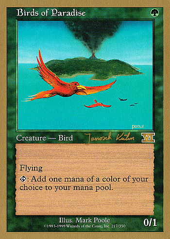 Birds of Paradise
