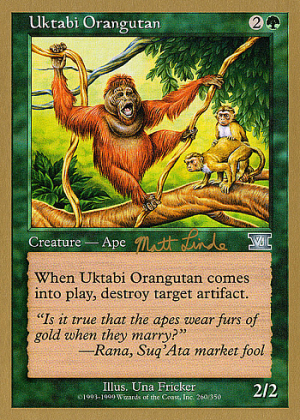 Uktabi Orangutan