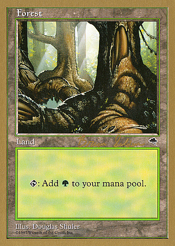 Forest