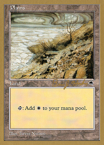 Plains
