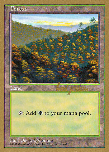Forest