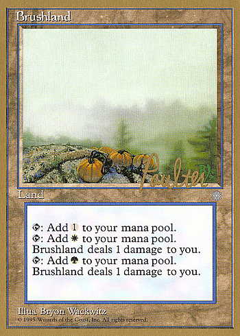 Brushland