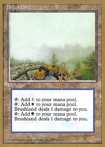Brushland