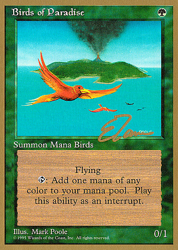 Birds of Paradise