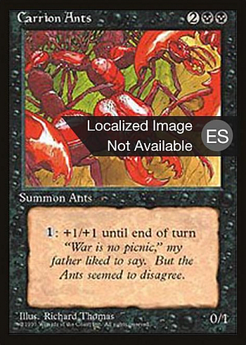 Carrion Ants