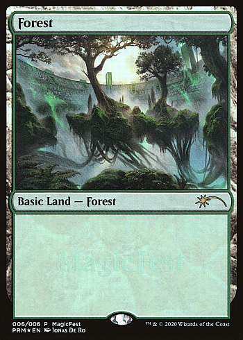 Forest