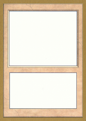 Blank Card