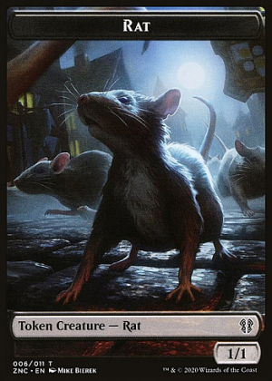 Rat