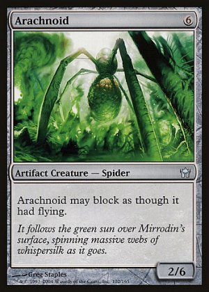 Arachnoid