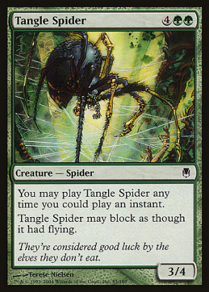 Tangle Spider