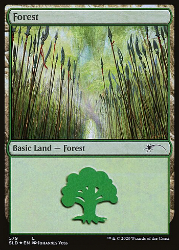 Forest