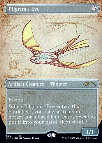 Pilgrim's Eye