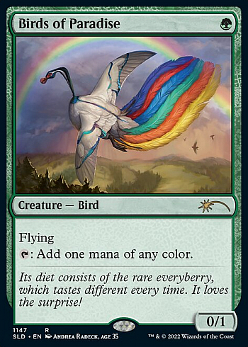 Birds of Paradise