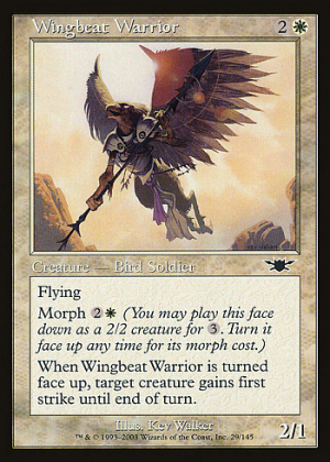 Wingbeat Warrior