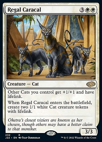 Regal Caracal