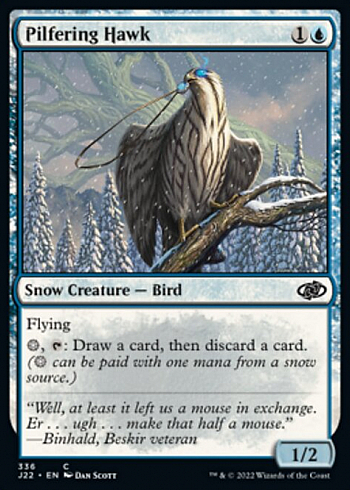 Pilfering Hawk