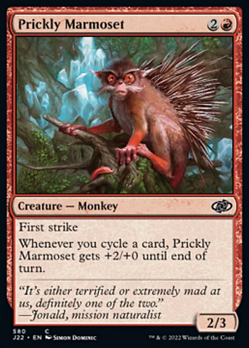 Prickly Marmoset