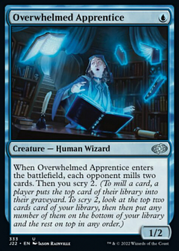 Overwhelmed Apprentice