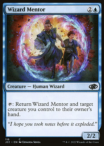 Wizard Mentor