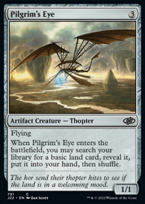 Pilgrim's Eye