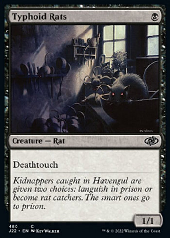 Typhoid Rats