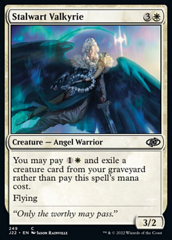 Stalwart Valkyrie