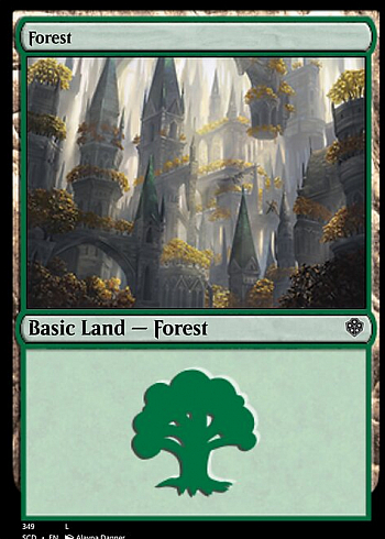 Forest