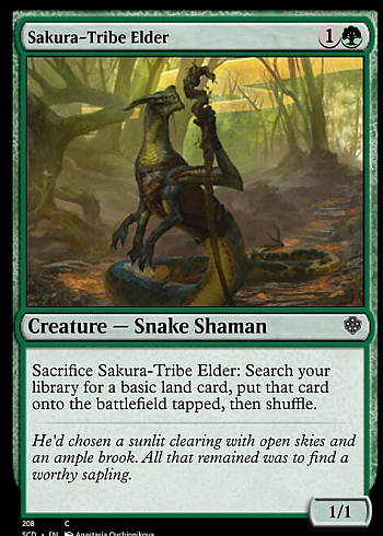 Sakura-Tribe Elder