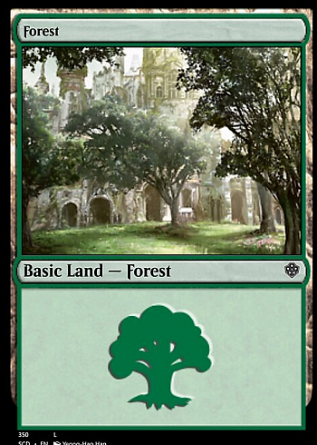 Forest