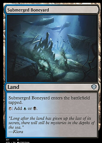 Submerged Boneyard