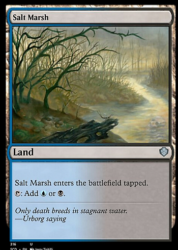 Salt Marsh